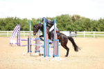 SBM_001015