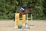Cls 68 Foxhunter & 1.20m Open portfolio