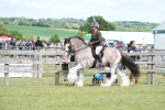 SBM_17169