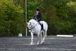 WJ5_8975
