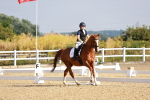 SBM_008146
