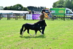 SBM_03481