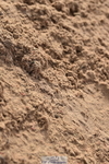 231015A-150520-08883