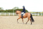 SBM_000495
