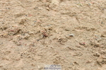 230511A-134406-00837