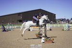 Cls 29 Junior 1.20m +1.30m Open portfolio