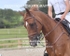 BPP_4783