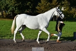 231022-101738-22384