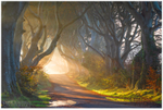 Morning Glow, The Dark Hedges (IMG0925)