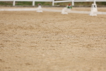 SBM_01601