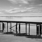 Oyster Beds No 2