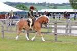 SBM_08536