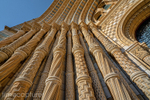Museum Curves