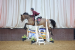 SBM_007338