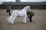 SBM_003935