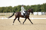 SBM_004628