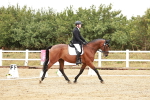 SBM_001181