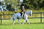 SBM_56425
