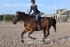 BPP_6944