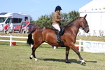 3E7A6360