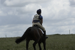 BVHT 140517  NXC -90