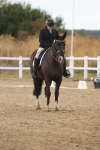 SBM_010555