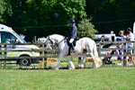 SBM_19398