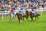 180523-Race 4-The Foxes-9706