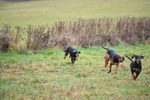 WJ5_6160