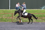 class 2 portfolio