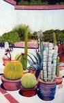 Cactus Garden