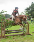 Dunblane show-265