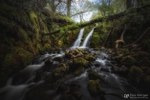 Twin Falls