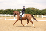 SBM_005890