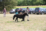 WJ6_7038