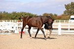 SBM_14259