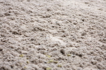SBM_000943
