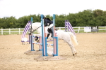 SBM_001179