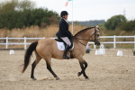SBM_015699