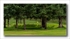 1st green panorama