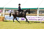 SBM_13224