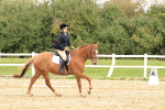 SBM_001607