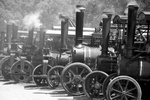 Steam Traction Engines