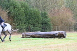WJ6_4779