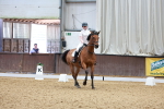 SBM_010946
