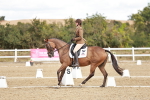 SBM_009804