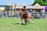SBM_05847
