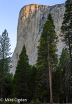 El Capitan at Dawn