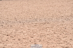 230531A-134808-00525