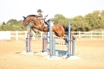 SBM_001776